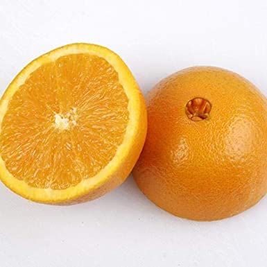 How to store navel oranges