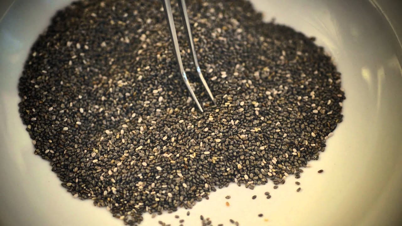 How to tell if chia seeds are bad
