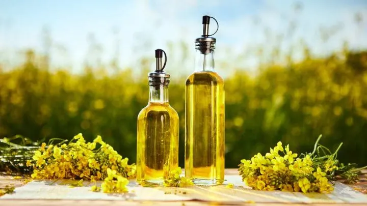 How can you tell if canola oil has gone bad