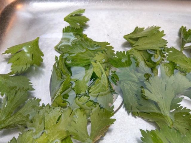 Can you eat celery leaves?
